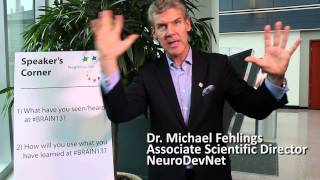 Dr Fehlings at the NeuroDevNet 2013 Brain Conference