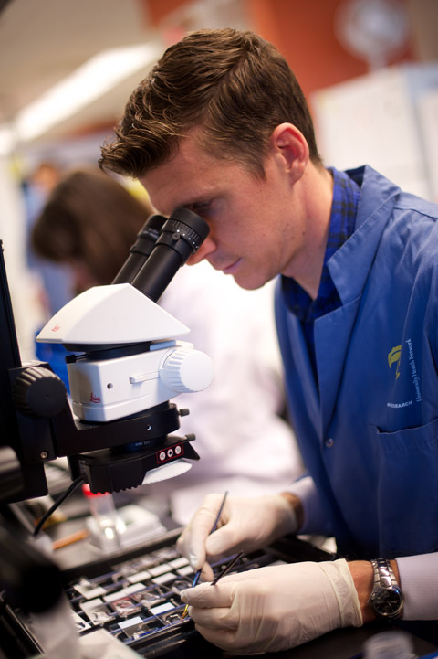 Microscopy at the Bench (Photo: John Loper) Microscopy at the Bench (Photo: John Loper)