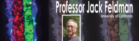 Visiting Speaker Jack Feldman to Discuss the "Neural Code of Respiration"